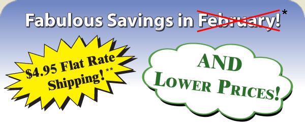 Fabulous Savings for February!