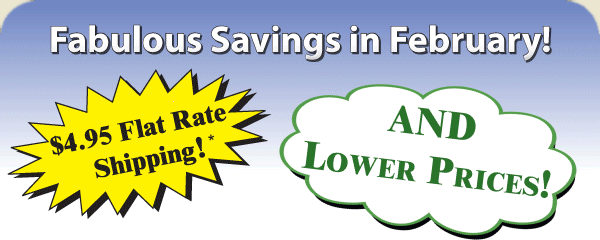 Fabulous Savings for February!