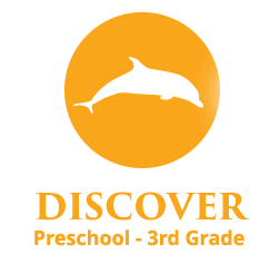 Discover