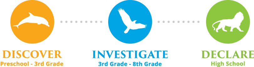 Discover, Investigate, Declare