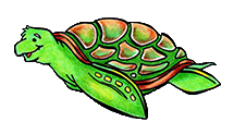 turtle
