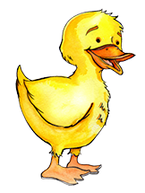 duck