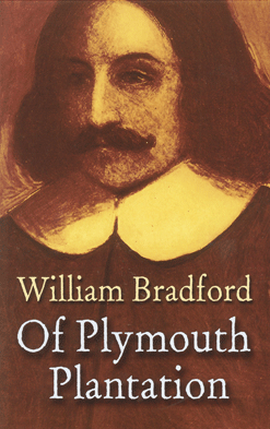 18311