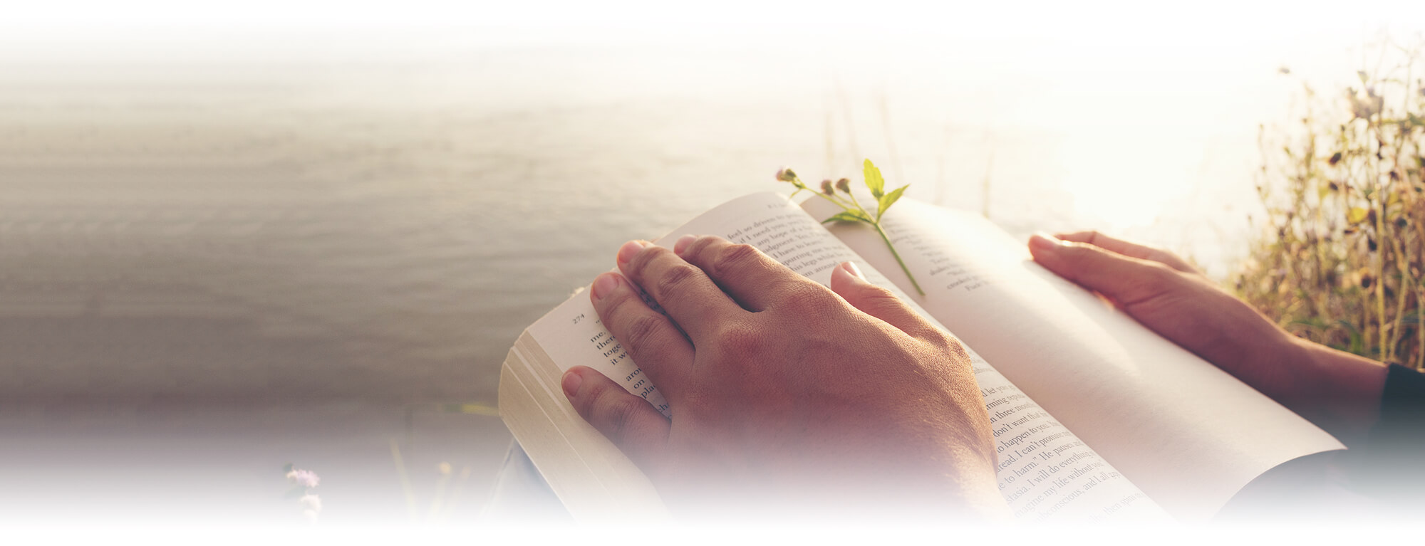 open book with flower bookmark