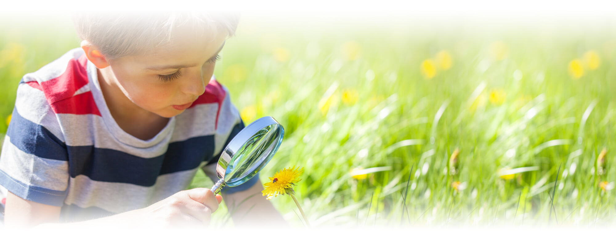 Kindergarten boy with magnifying glass