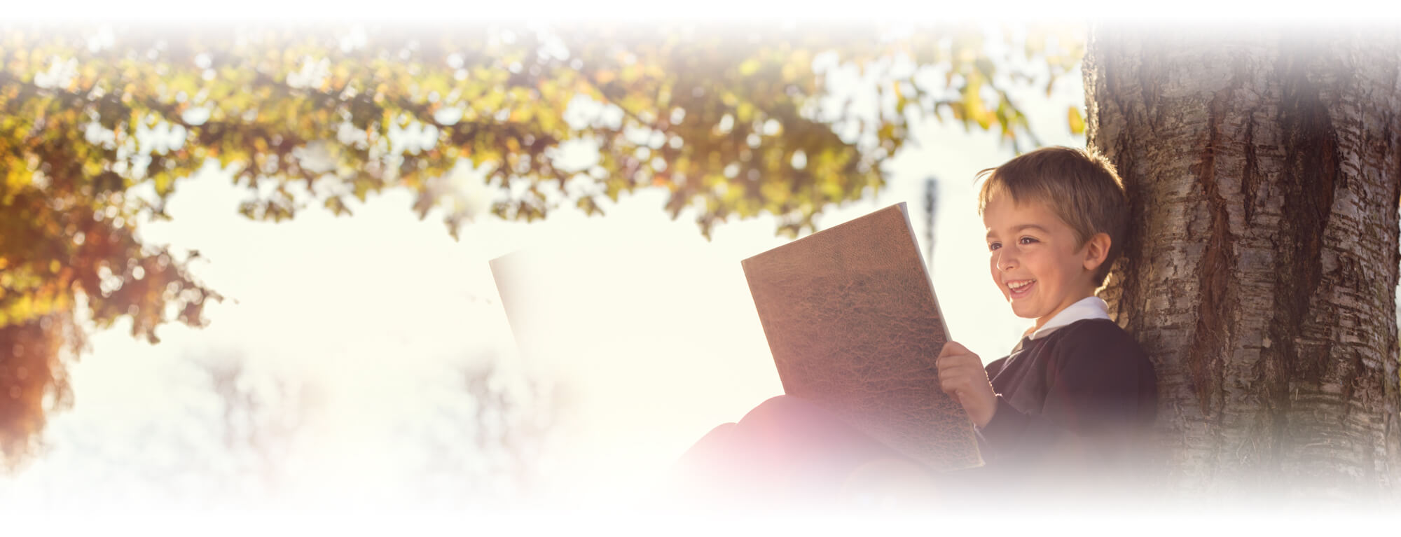 second grade or third grade boy reading book under tree